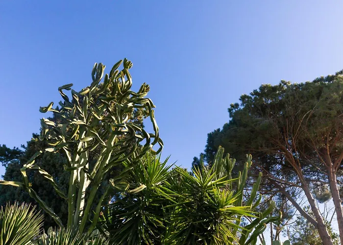 Teresa - Country By Kalavria Holidays Casa de Férias San Nicolò